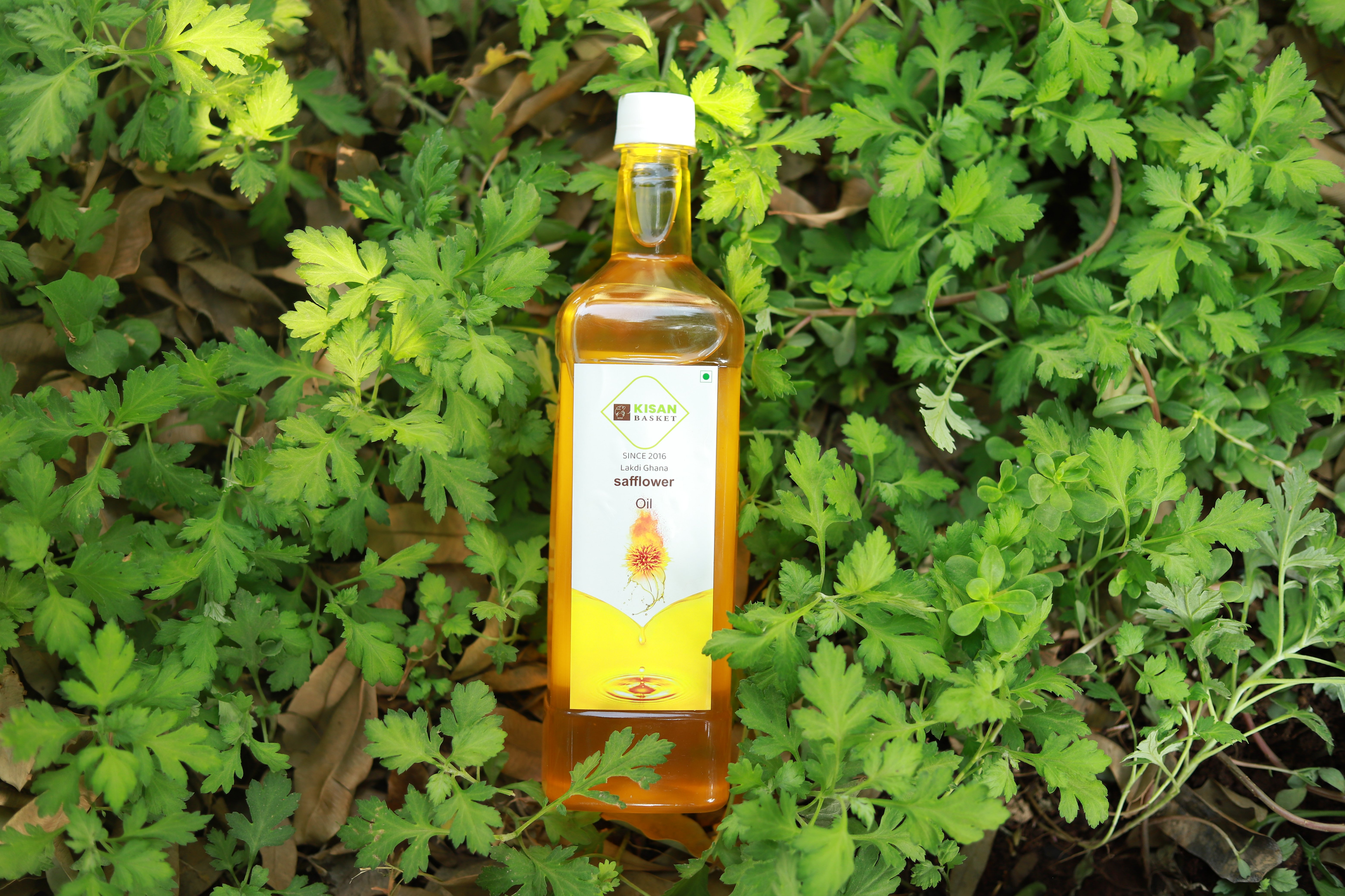 Safflower Oil
