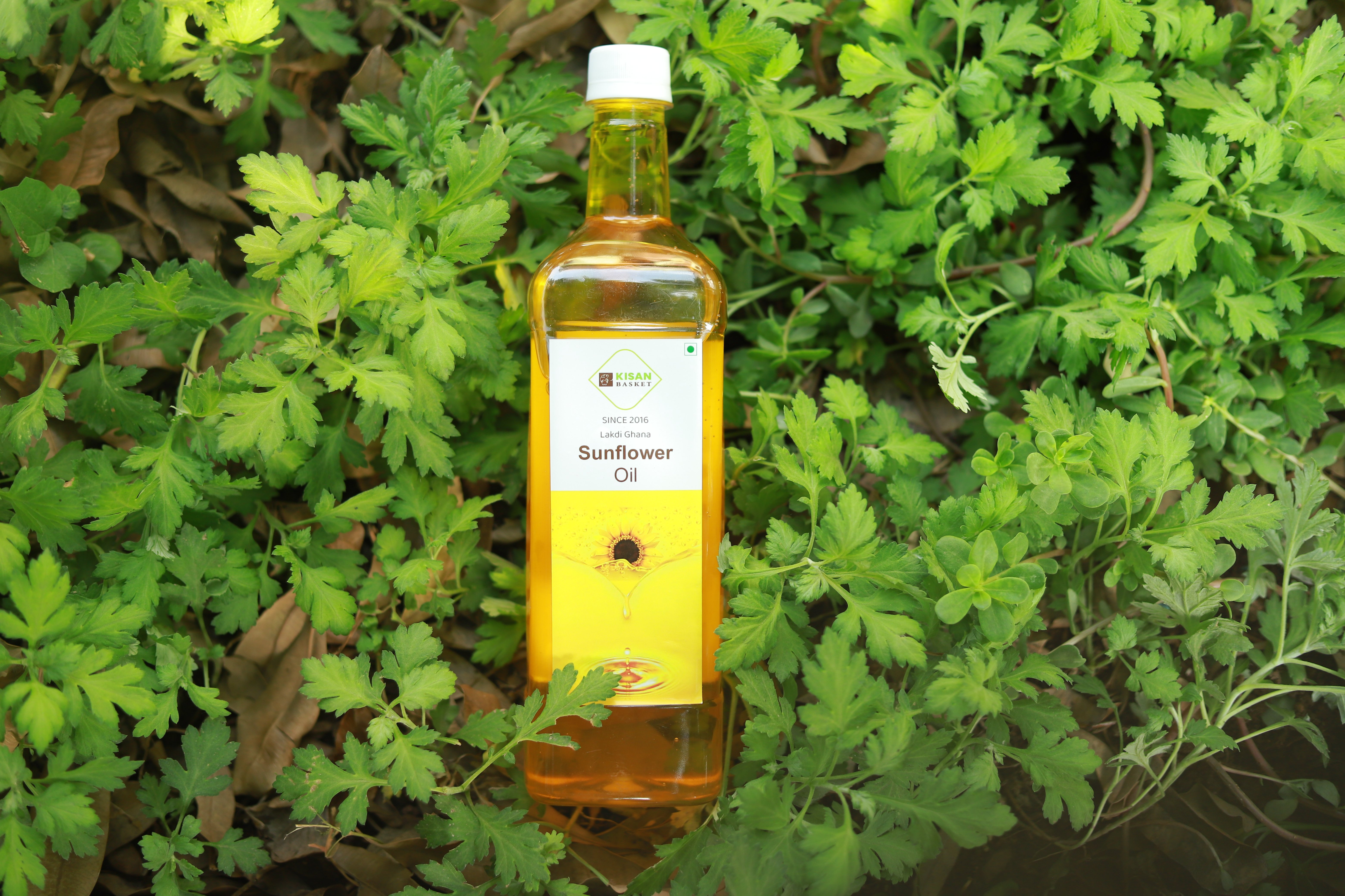 Sunflower Oil