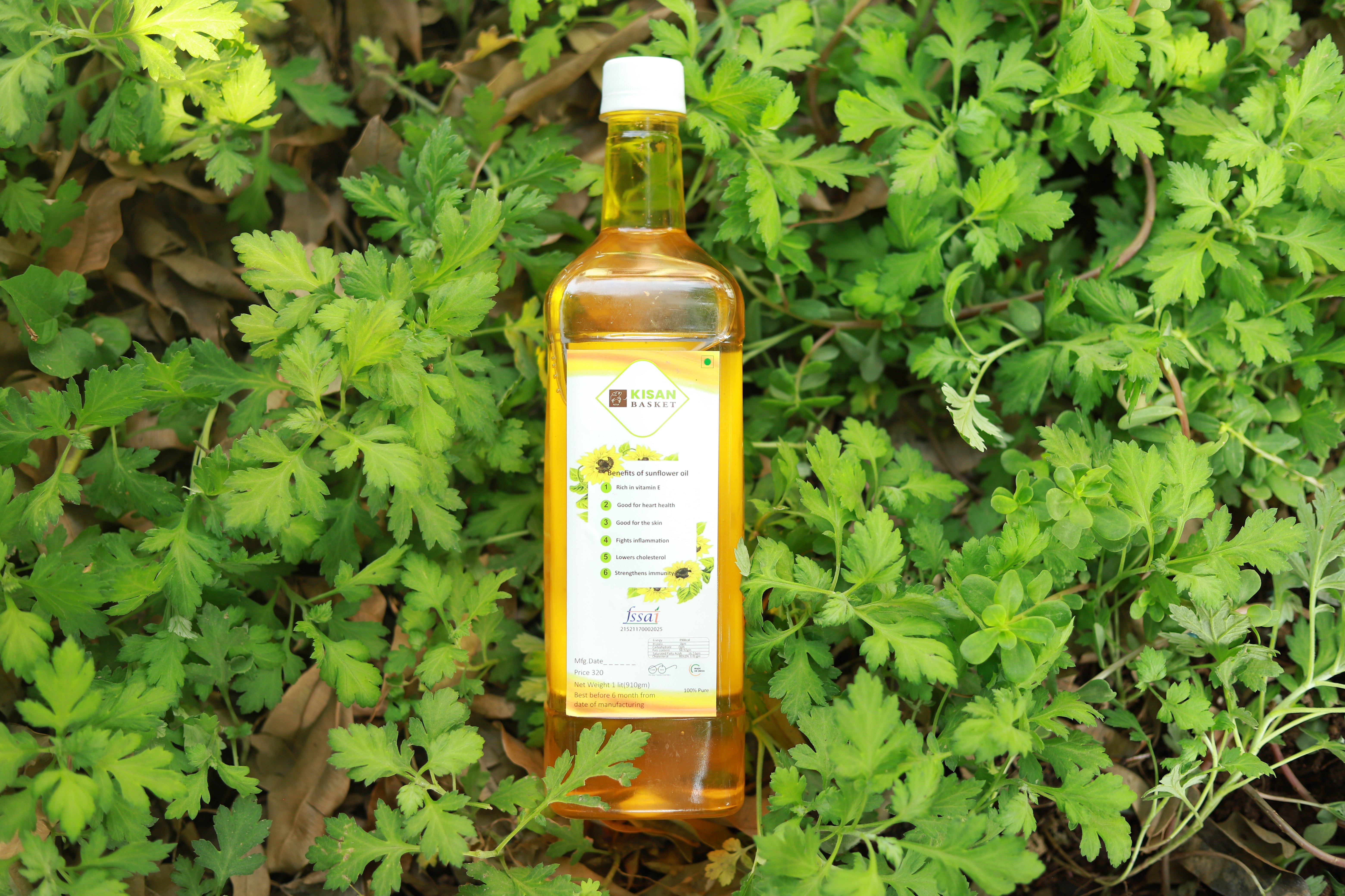 Sunflower Oil