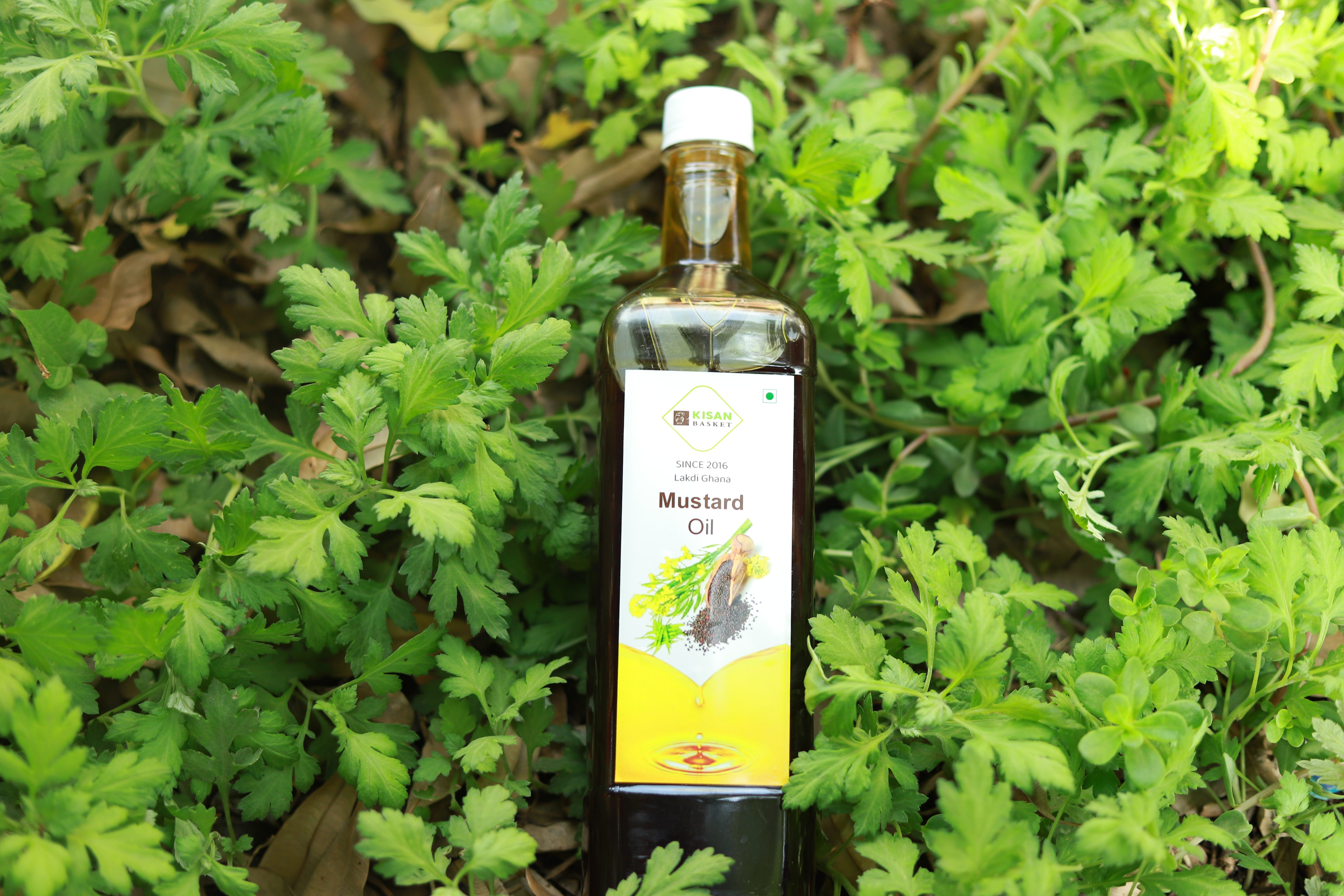 Cold Pressed Mustard Oil