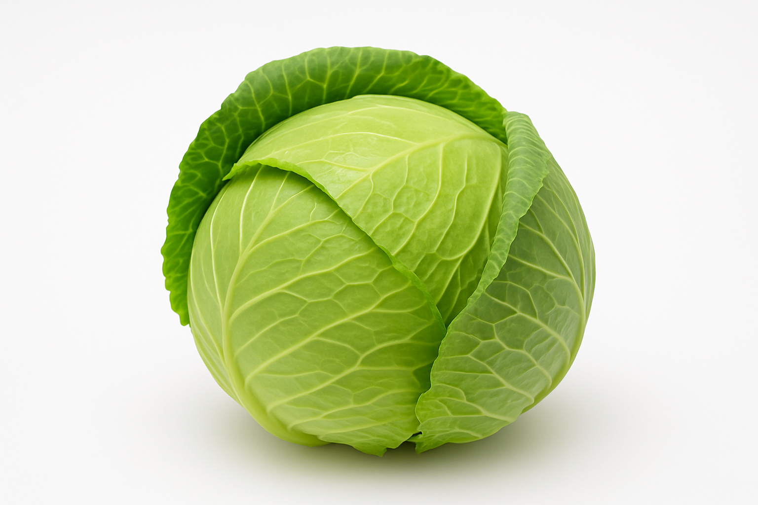 Cabbage