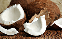 Coconut without hard cover