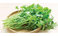 Coriander leaves-1