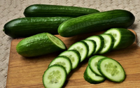 Cucumber green