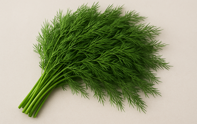 Dill Leaves