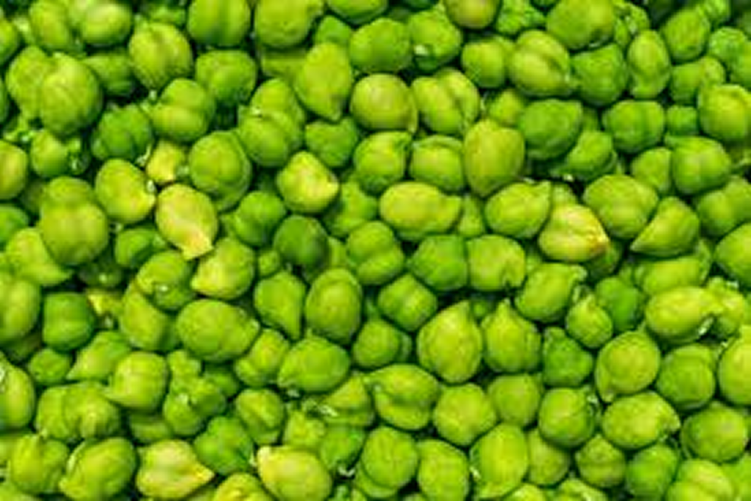 GreenChana