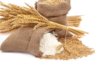 Lokwan Wheat