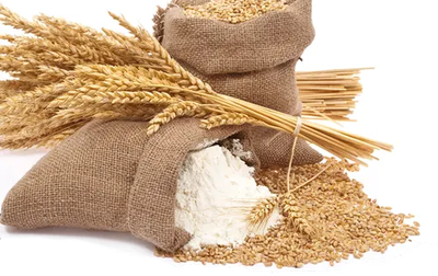 Lokwan Wheat