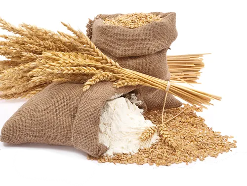 Lokwan Wheat