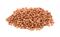 Red Chana