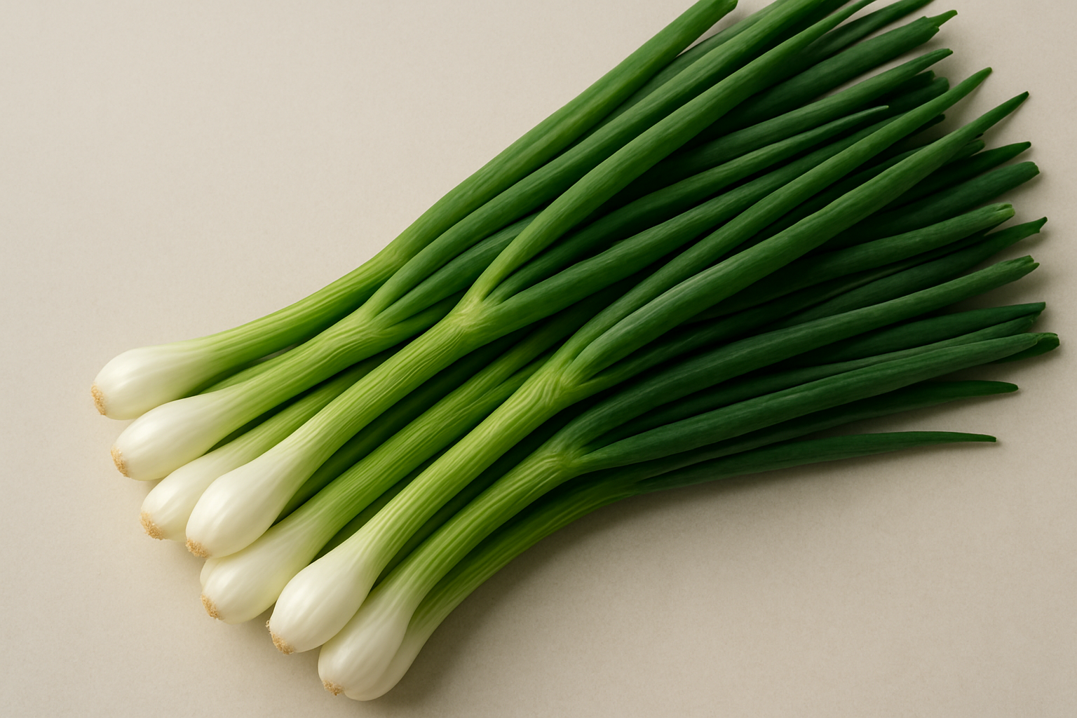 Spring Onion