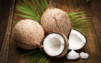 coconut-1