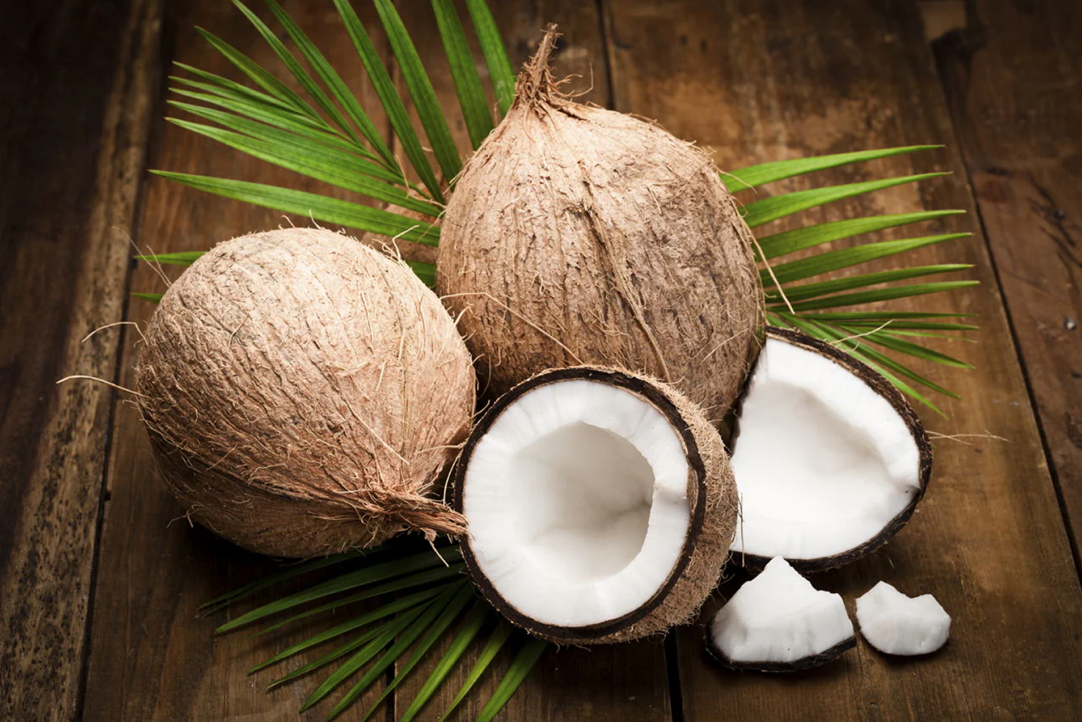 coconut-1