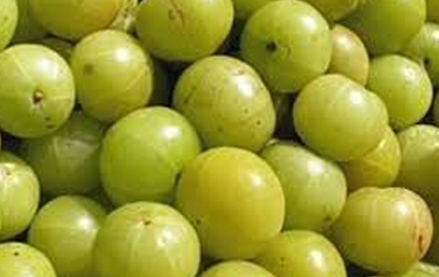 Indain Gooseberry
