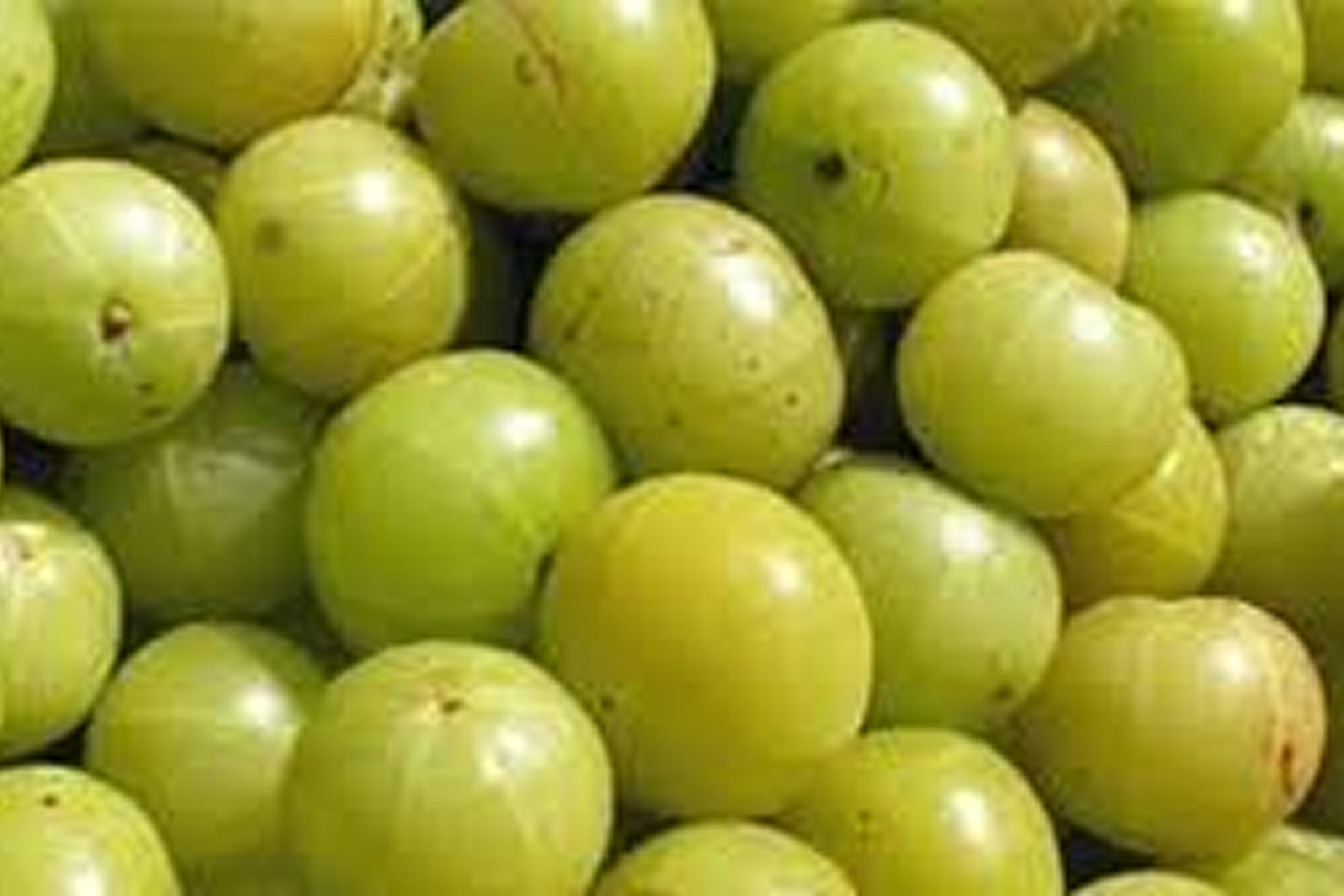 Indain Gooseberry