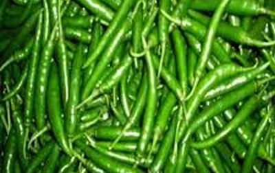 greenchillispicy