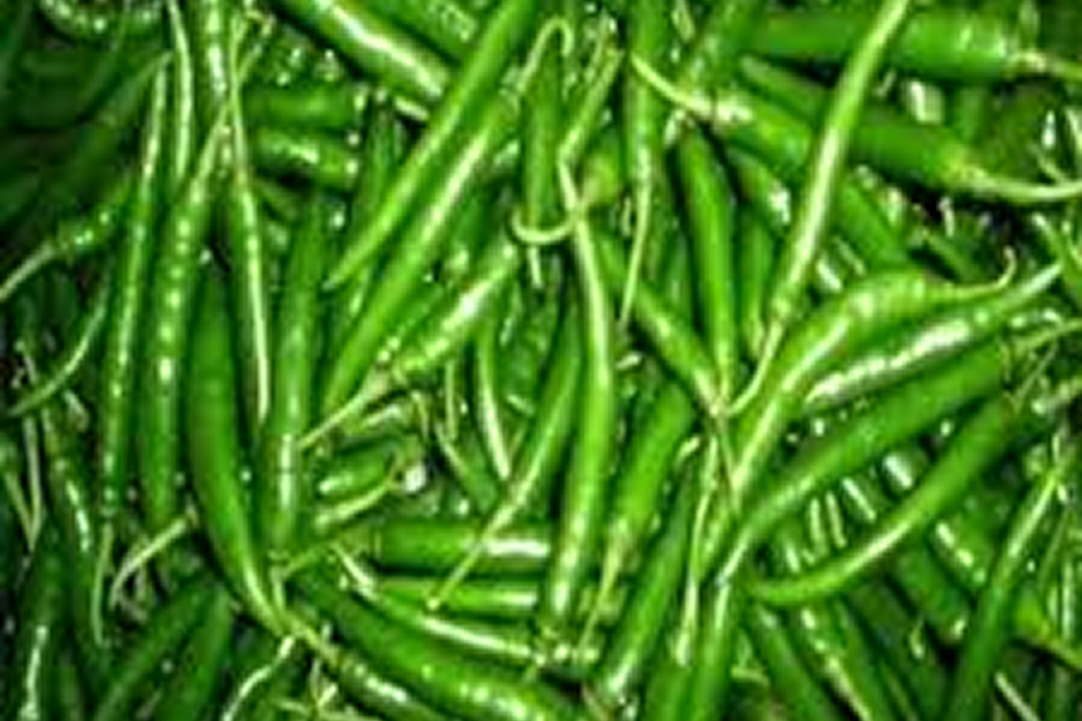 greenchillispicy