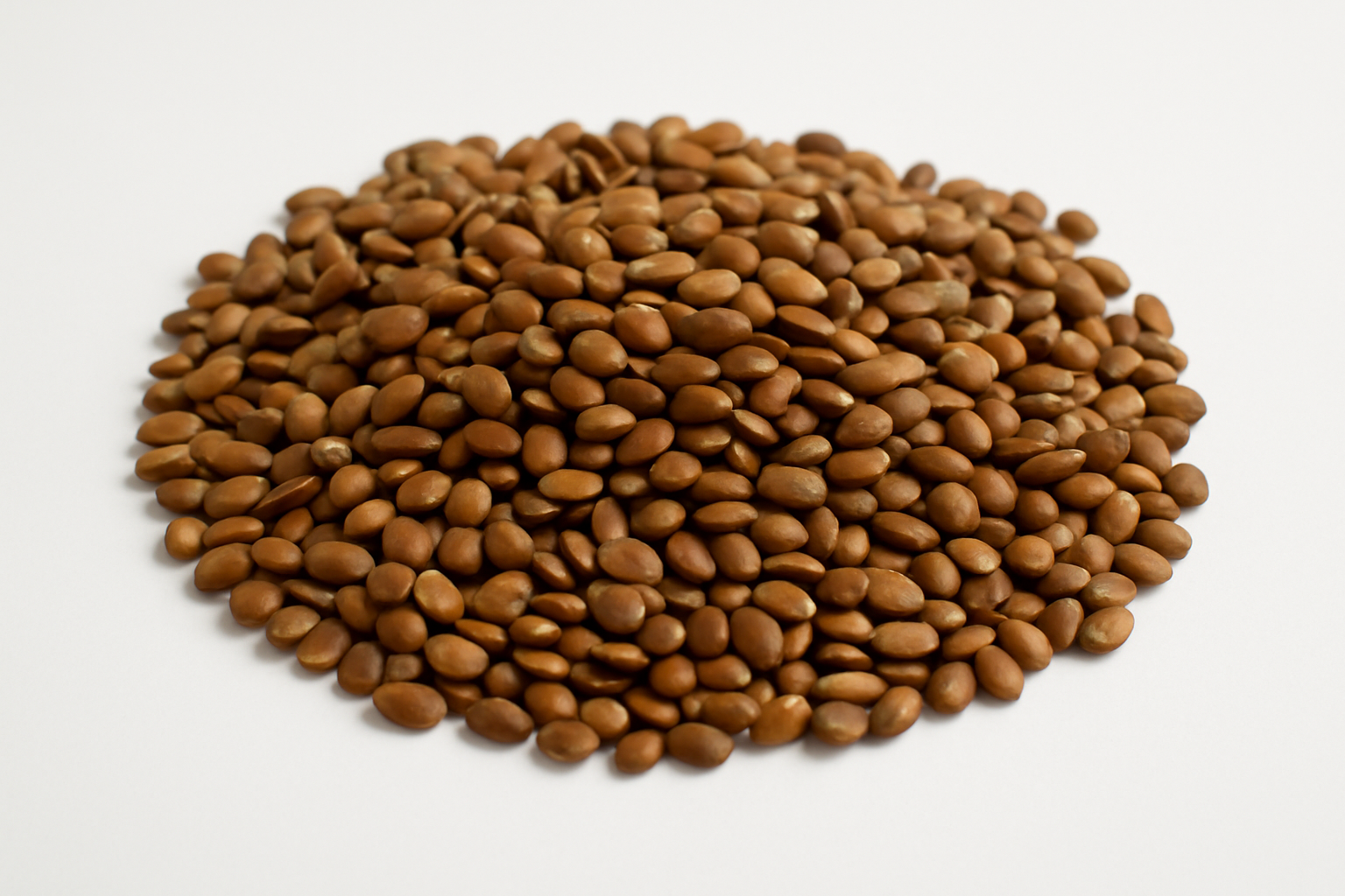 horsegram