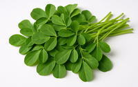 methi